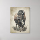 Search for bison canvas prints Animal