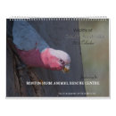 Search for bat photography Animals
