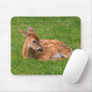 Search for alaska electronics Nature