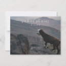 Search for muscat oman postcards East