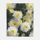 Search for aster Yellow