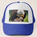 Search for happy fathers day eagle Dad
