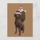 Search for labrador christmas cards Santa