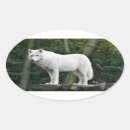 Search for white wolf stickers Nature