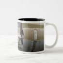 Search for p 51 mugs History