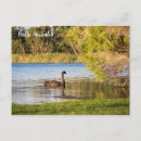 Search for perth postcards Western