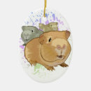 Search for guinea pigs christmas decor Cavies