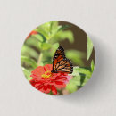 Search for monarch badges Insect