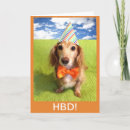 Search for wiener cards Dachshund