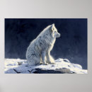 Search for fox paintings posters Snow