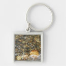 Search for pebble key rings Photography
