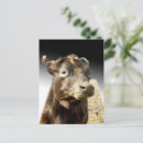Search for day out postcards Cute