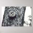Search for peek a posters Cute