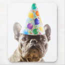 Search for small dogs mousepads Domestic animals