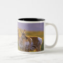 Search for pronghorn mugs Wildlife