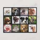 Search for photo collage postcards Cool