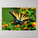 Search for swallowtail butterfly art Nature
