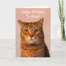 Search for funny cat jokes cards Kitty