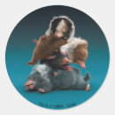 Search for potter stickers Adorable