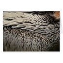 Search for feathers note cards Beautiful