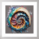 Search for nautilus posters Shell