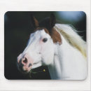 Search for medicine the electronics Horse