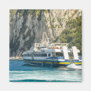 Search for ferry magnets Landscape