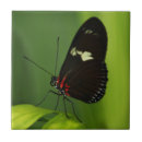 Search for wing tiles Butterfly