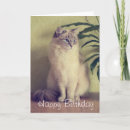 Search for ragdoll cat cards Fluffy