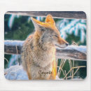 Search for coyotes mousepads Animals