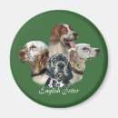 Search for setter magnets Hunting