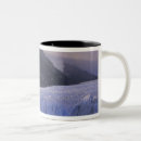Search for patagonia mugs South america