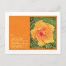Search for latin horizontal postcards South america