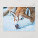 Search for breckenridge colorado postcards Snow