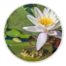 Search for frog knobs and pulls Animals