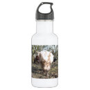 Search for scottish water bottles Scots