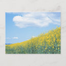 Search for wide angle postcards Horizontal