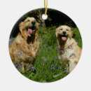 Search for flat coated retriever christmas tree decorations Bob and pam langrish