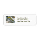 Search for saltwater return address labels Ocean