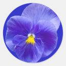 Search for pansies stickers Nature
