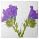 Search for cutout tiles Plants