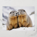 Search for marmot postcards Nature