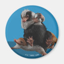 Search for prize magnets Cute
