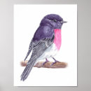 Search for aquarelle posters Wildlife