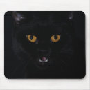 Search for keyboard cat posters Photography