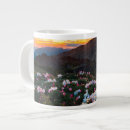 Search for mountain peaks mugs Valley