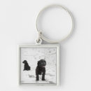 Search for bizarre key rings Domestic animals