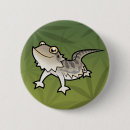 Search for bearded badges Lizard
