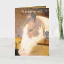 Search for horse sympathy cards Grief