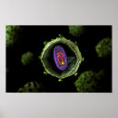 Search for biochemistry posters Microscopic